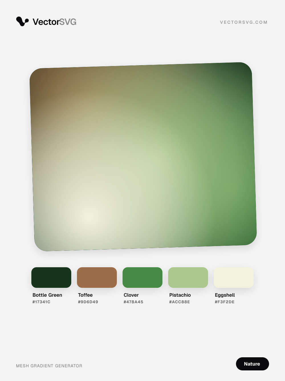 Woodland Canopy Nature mesh gradient: Bottle Green #17341C, Toffee #9D6D49, Clover #478A45, Pistachio #ACC88E, Eggshell #F3F2DE Woodland Canopy Nature mesh gradient: Bottle Green #17341C, Toffee #9D6D49, Clover #478A45, Pistachio #ACC88E, Eggshell #F3F2DE